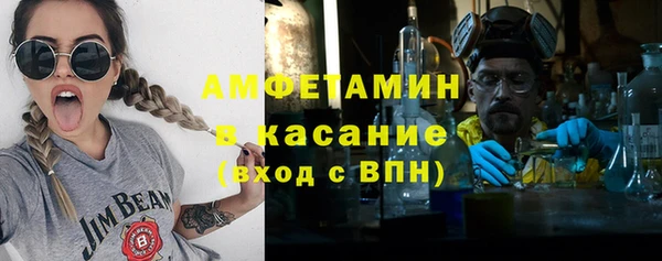 гидра Елабуга