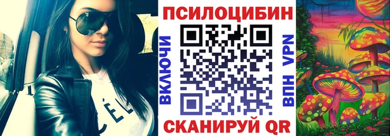 Псилоцибиновые грибы Psilocybe Купить закладки Россошь